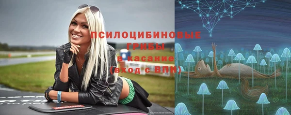 spice Бутурлиновка