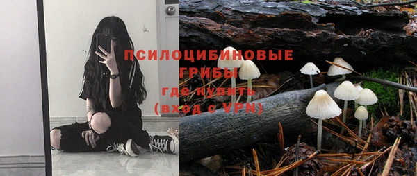 спиды Валдай