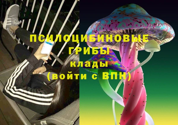 spice Бутурлиновка