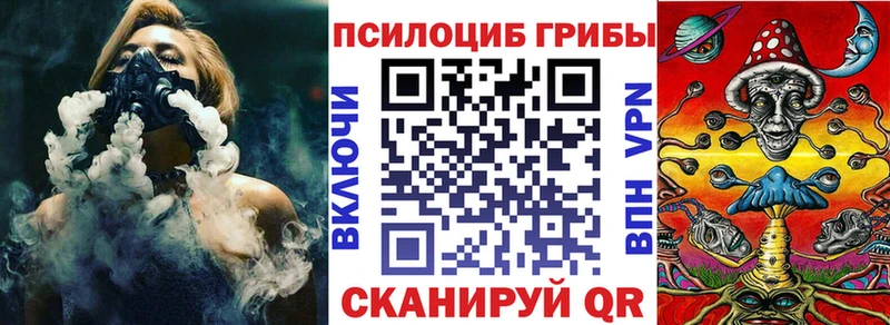 Псилоцибиновые грибы прущие грибы  где найти   Вязьма 