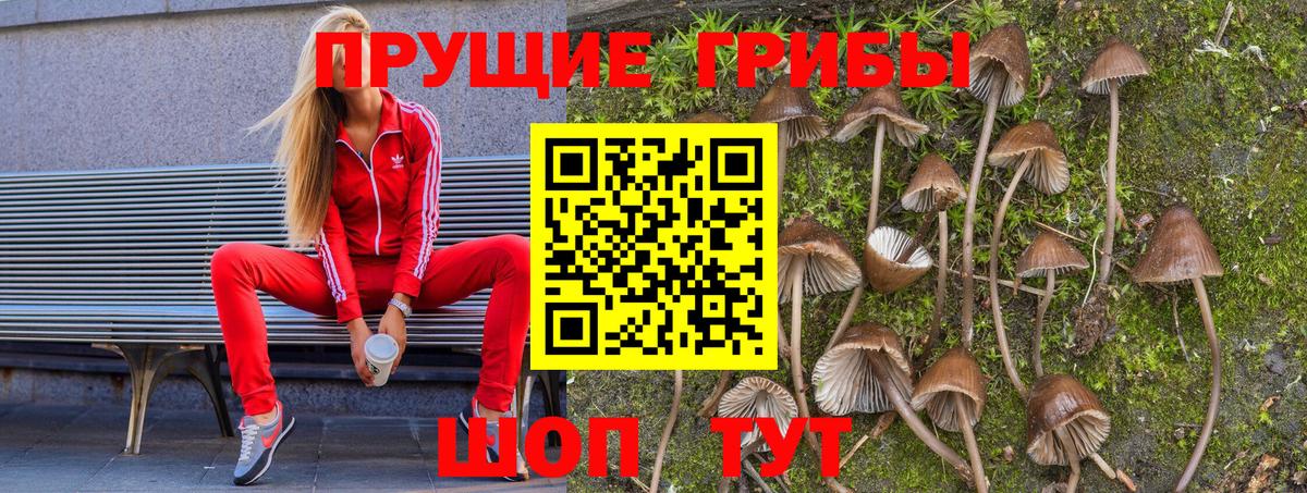 Канабис  Гашиш  Вязьма  COCAIN  Меф кристаллы  Вход с VPN 