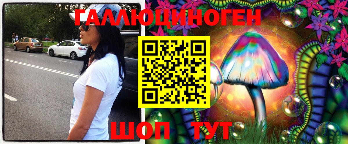 Галлюциногенные грибы Cubensis Вязьма