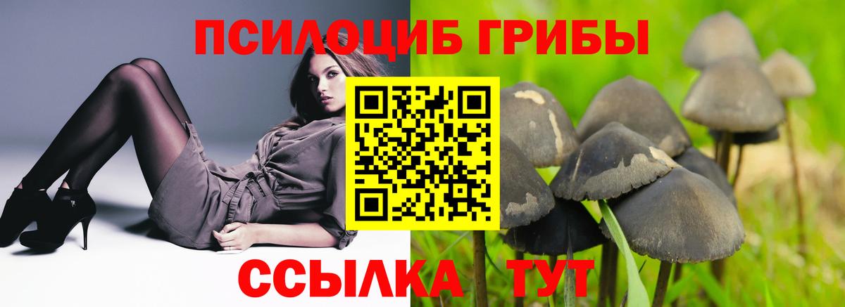 Галлюциногенные грибы MAGIC MUSHROOMS  Вязьма  Псилоцибиновые грибы прущие грибы 